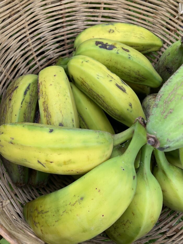 banane kakambou