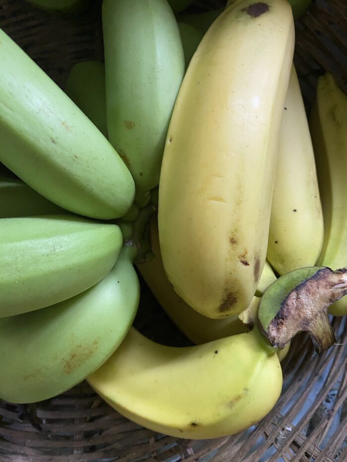 banane makanja