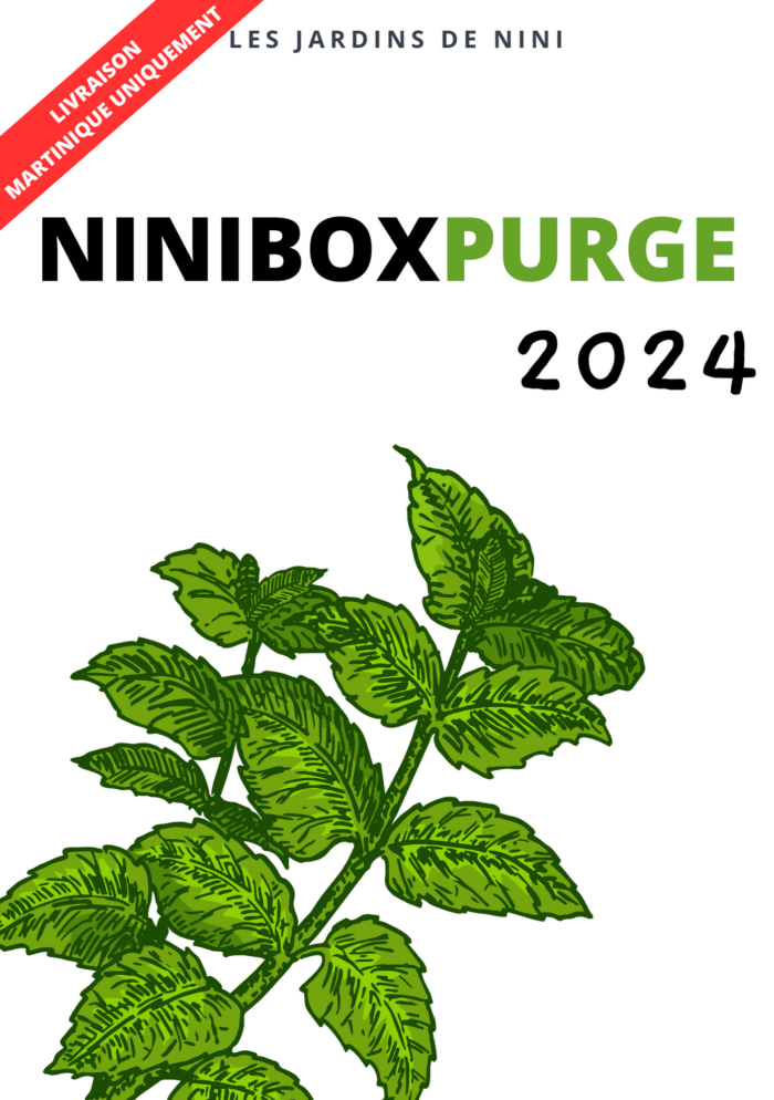 NINIBOX PURGE 2024