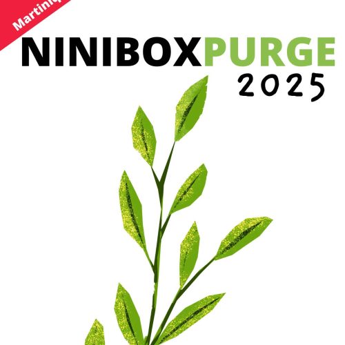 NINIBOX PURGE 2025