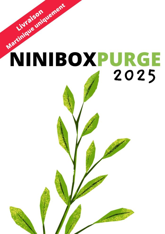 NINIBOX PURGE 2025