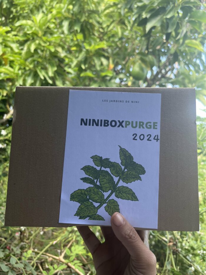 NINIBOX PURGE 2024 – Image 2