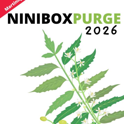 NINIBOX PURGE 2026