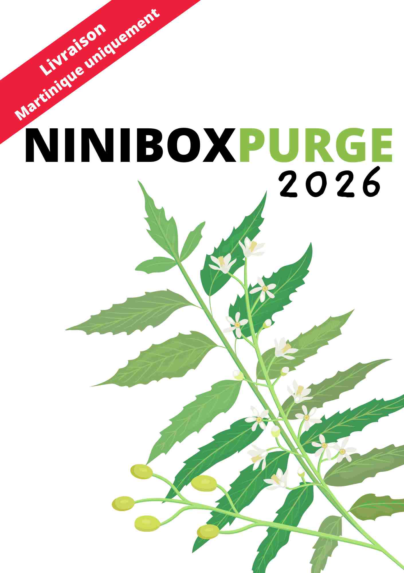 NINIBOX PURGE 2026
