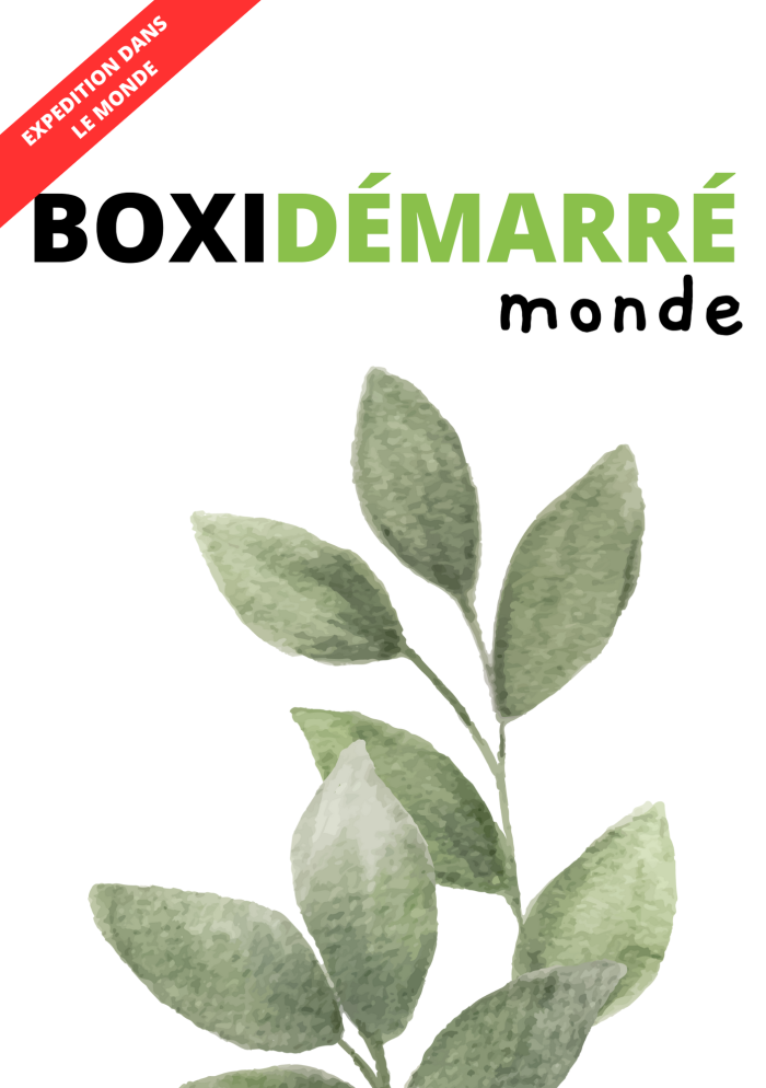 BOXIDÉMARRÉ MONDE