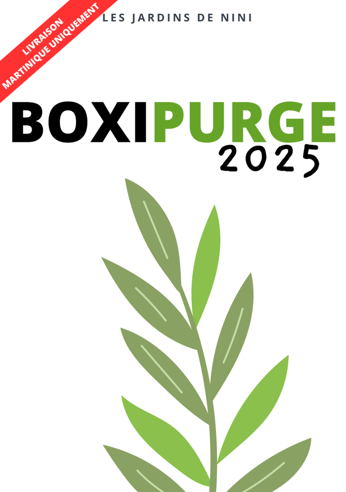 BOXIPURGE 2025