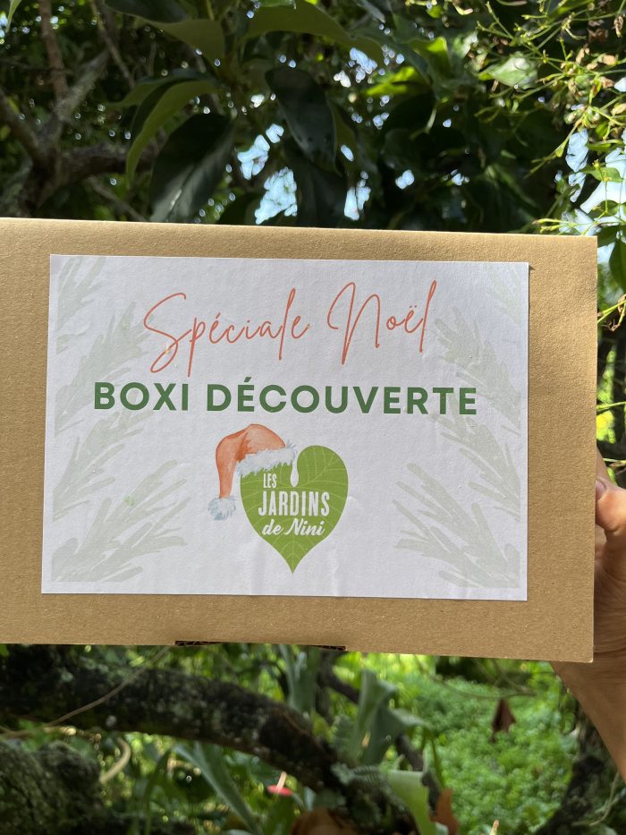 BOXI DECOUVERTE ( Spéciale Noël)