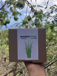 MINIBOXPURGE ENFANT MONDE – Image 2