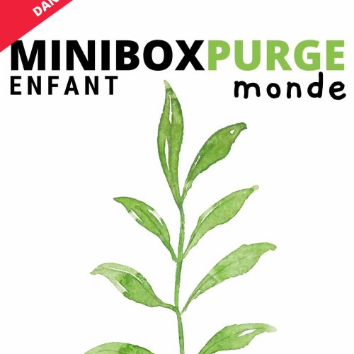 MINIBOXPURGE ENFANT MONDE