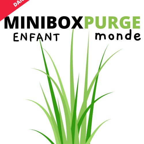 MINIBOXPURGE ENFANT MONDE