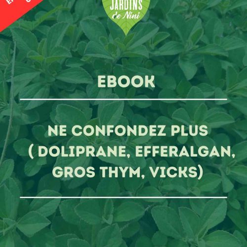 EBOOK : NE CONFONDEZ PLUS LE GROS THYM, DOLIPRANE, EFFERALGAN...
