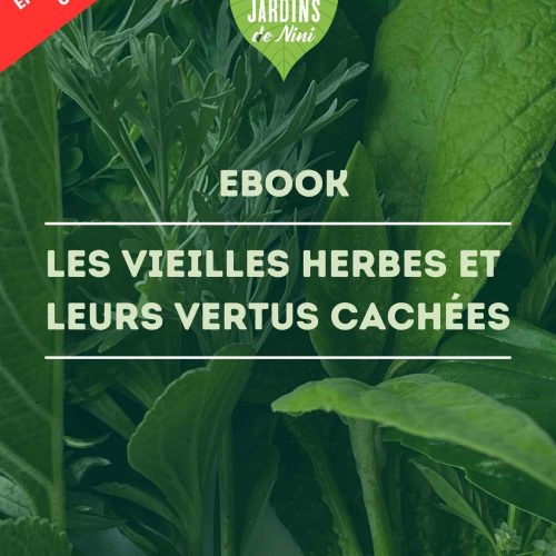 EBOOK: LES VIEILLES HERBES ET LEURS VERTUS CACHÉES