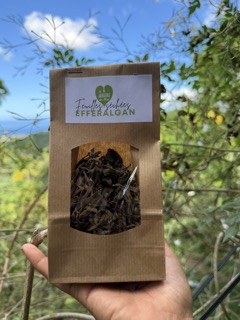 FEUILLES D'EFFERALGAN SÉCHÉES