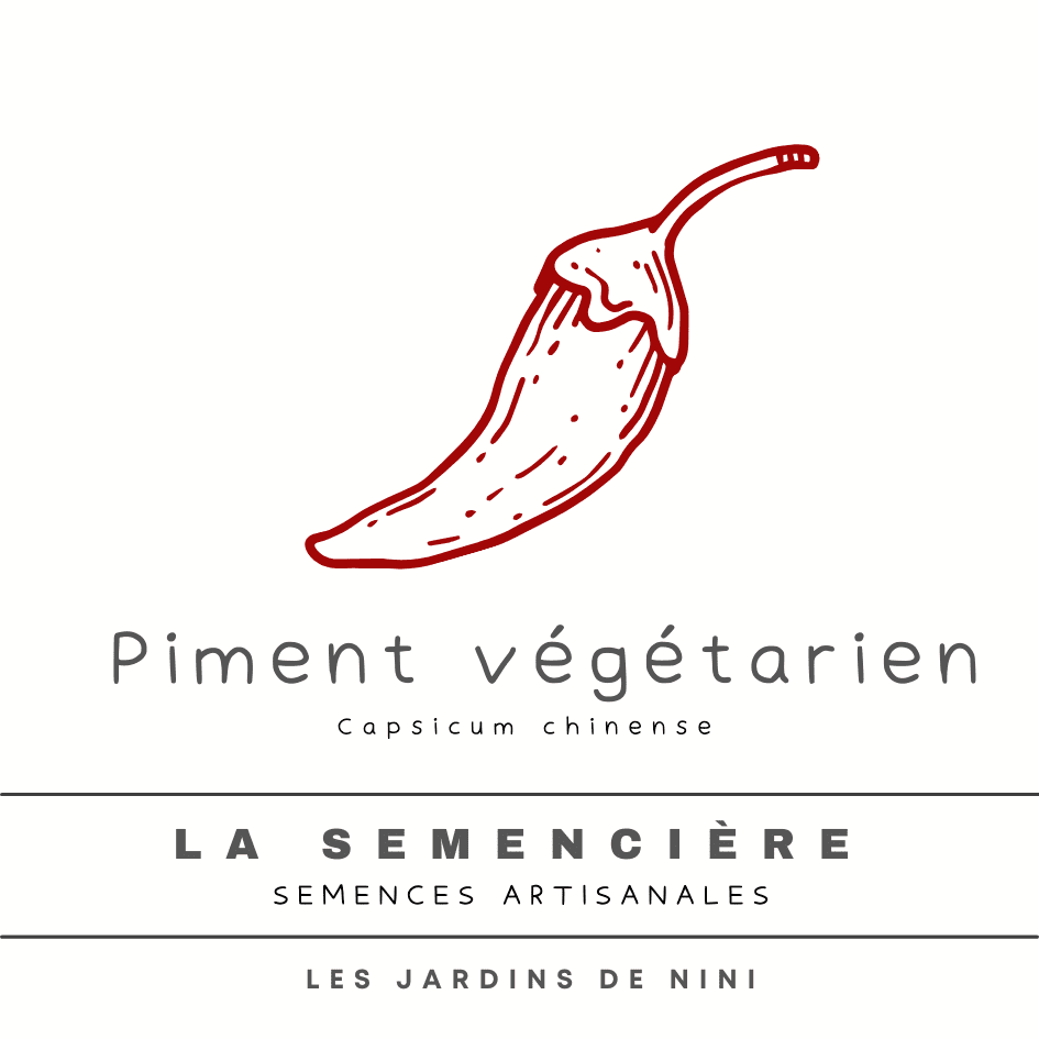GRAINES PIMENT VEGETARIEN