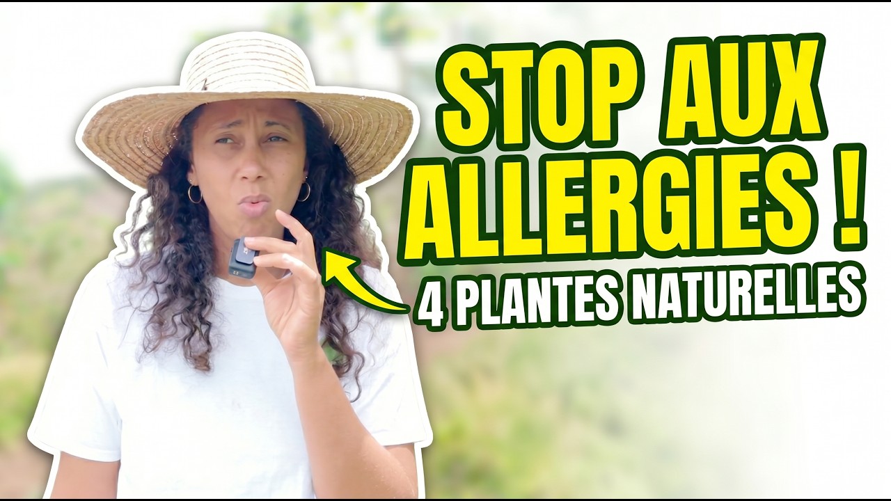 Allergies saisonnières : 4 plantes des Antilles pour mieux respirer