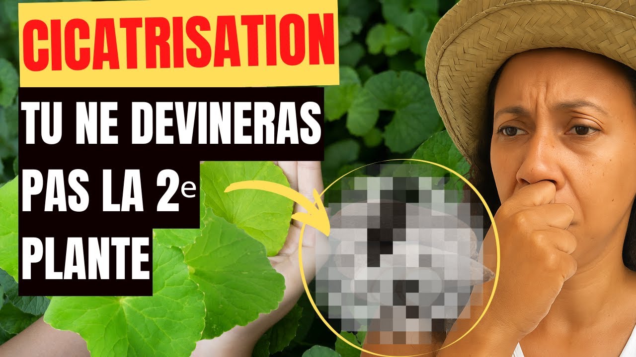 Cicatrisation : les plantes du jardin créole qui aident la peau à se réparer