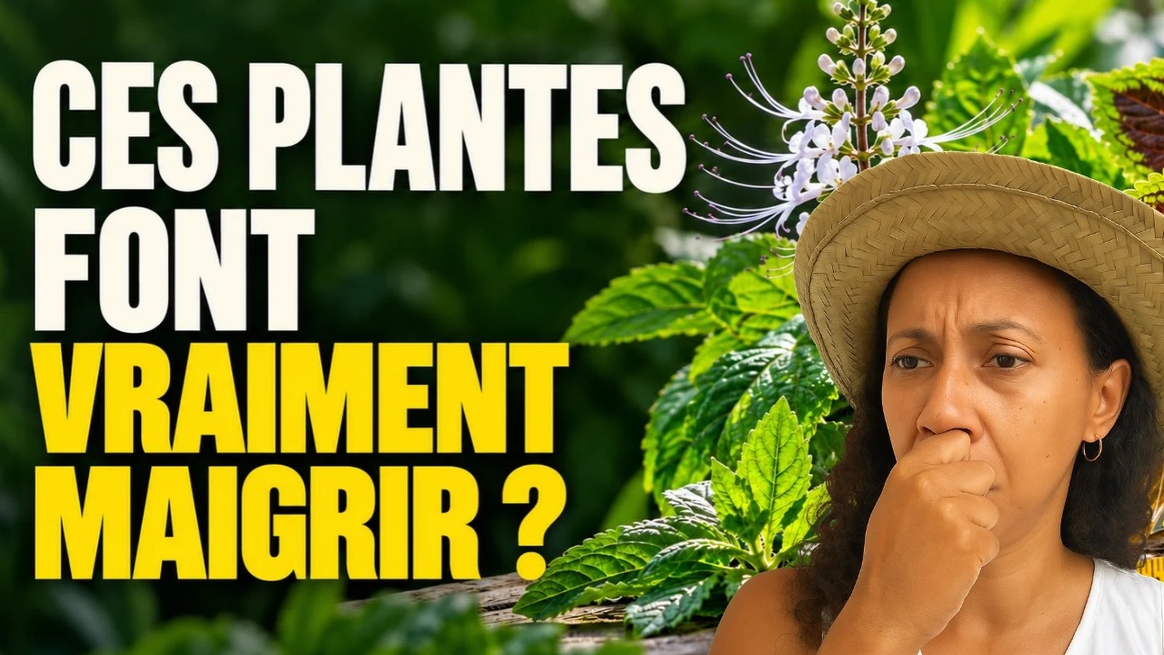 Maigrir avec les plantes du jardin créole : ce qui marche vraiment (et ce qui est une arnaque)