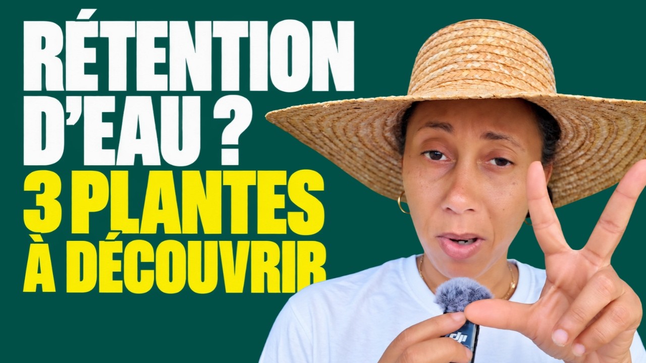 Jambes lourdes, chevilles gonflées : 3 plantes créoles contre la rétention d'eau